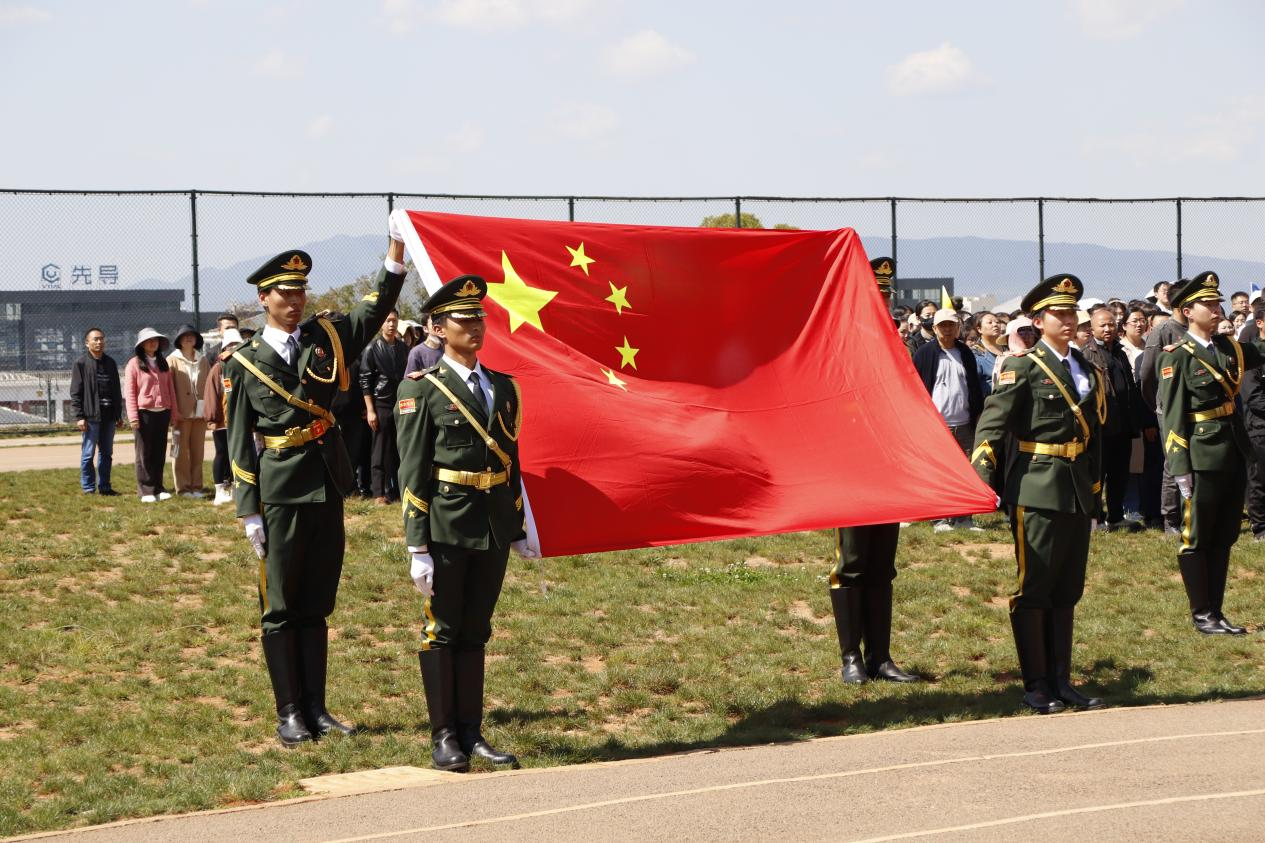 图片8