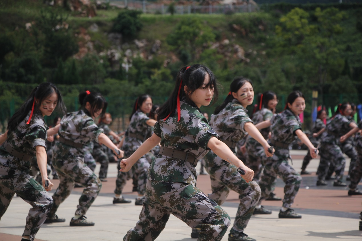 图片14